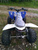 Квадроцикл PANTERA 250 SUPER SPORT #2
